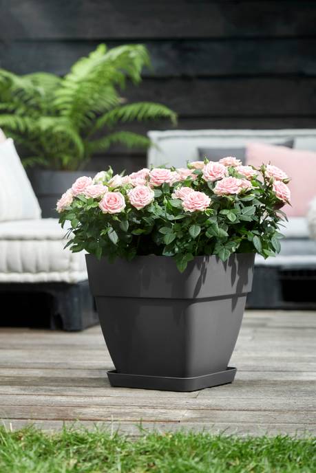 vibia campana vierkant 30cm antraciet